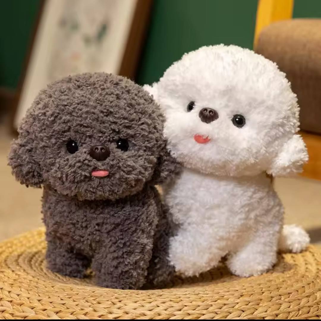 Bichon Plush