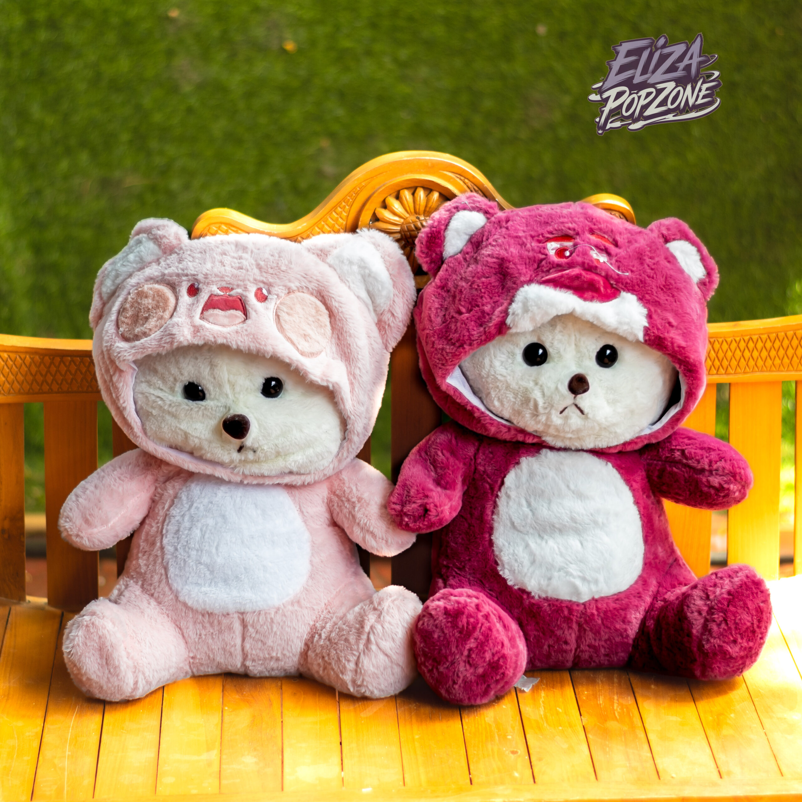 Teddy with hoodie