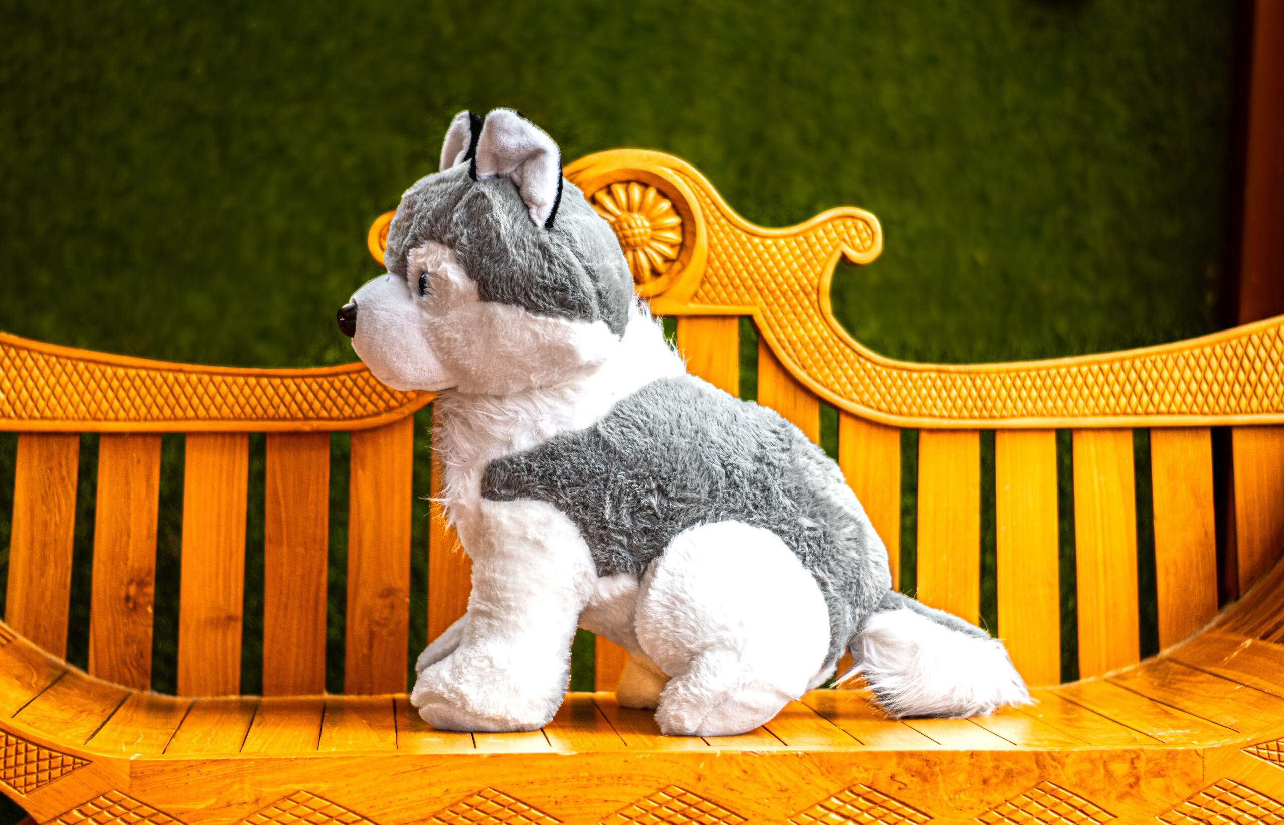 Husky Plush