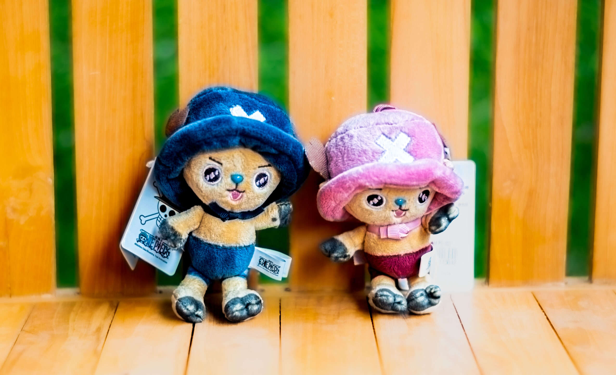 Tony Tony Chopper.