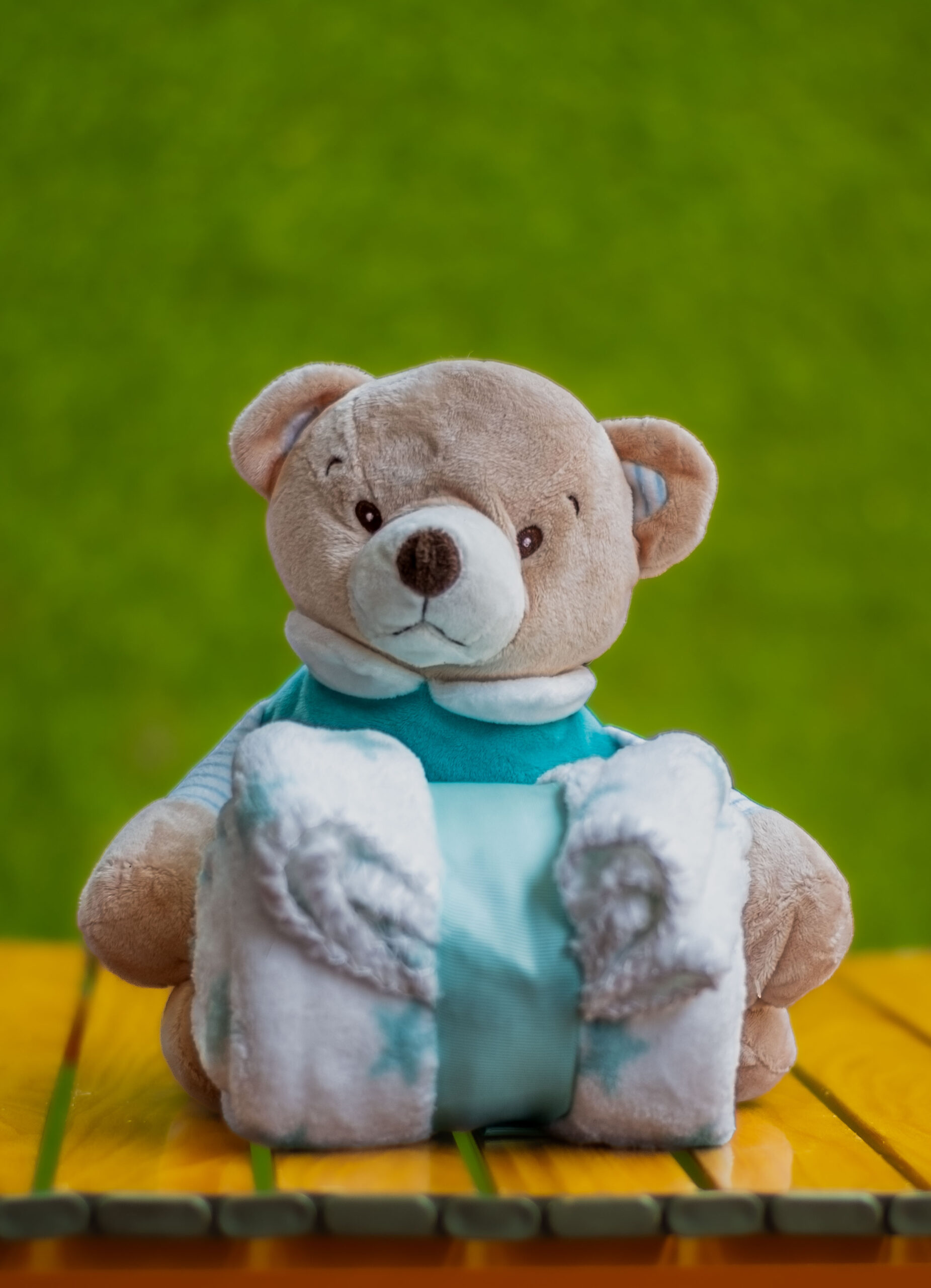 Baby Plush with towel