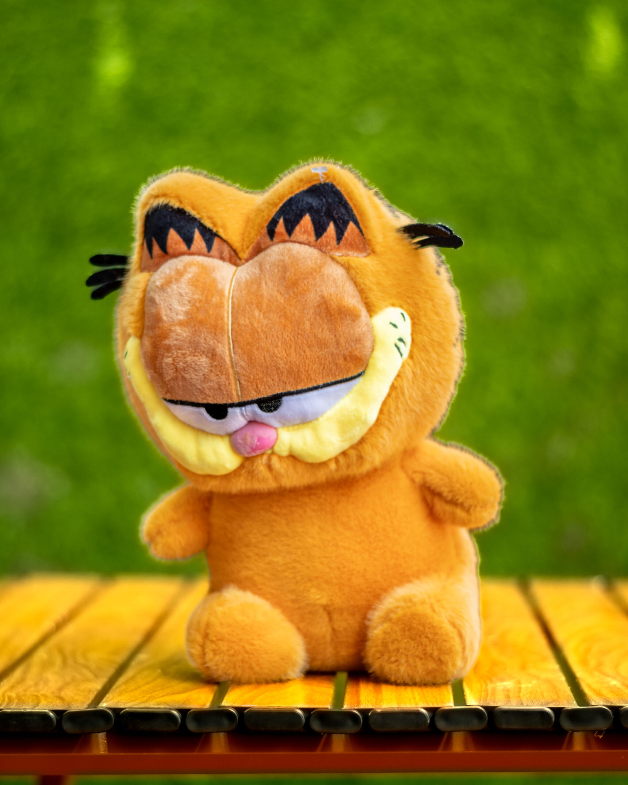 Garfield plush