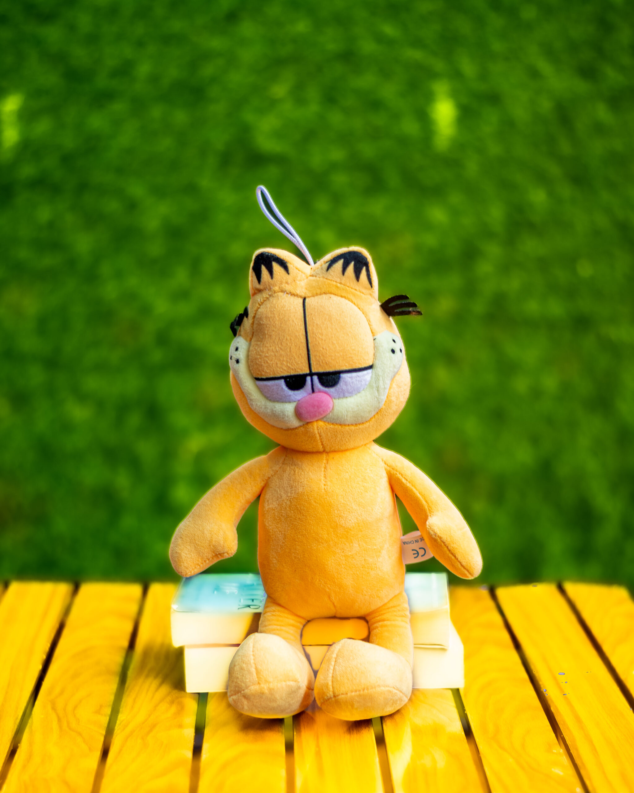 Garfield plush