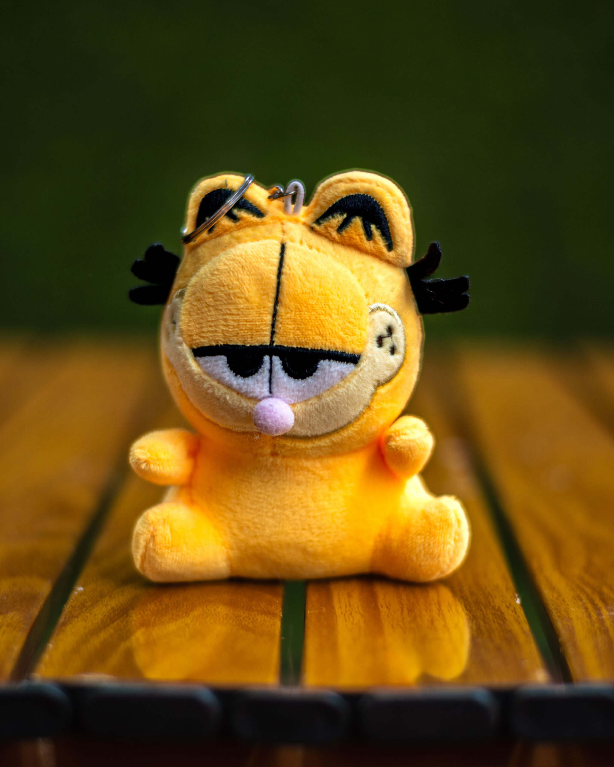 Garfield plush