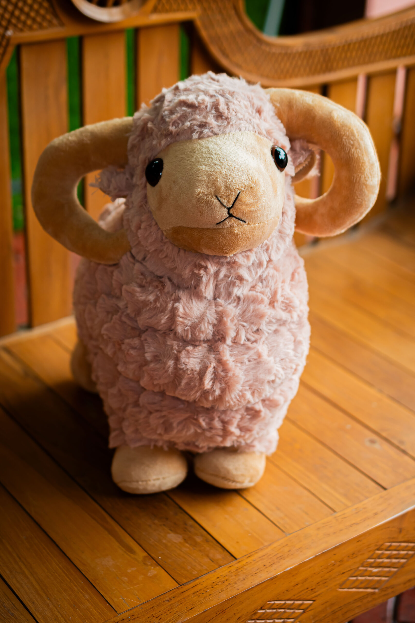 Sheep plush