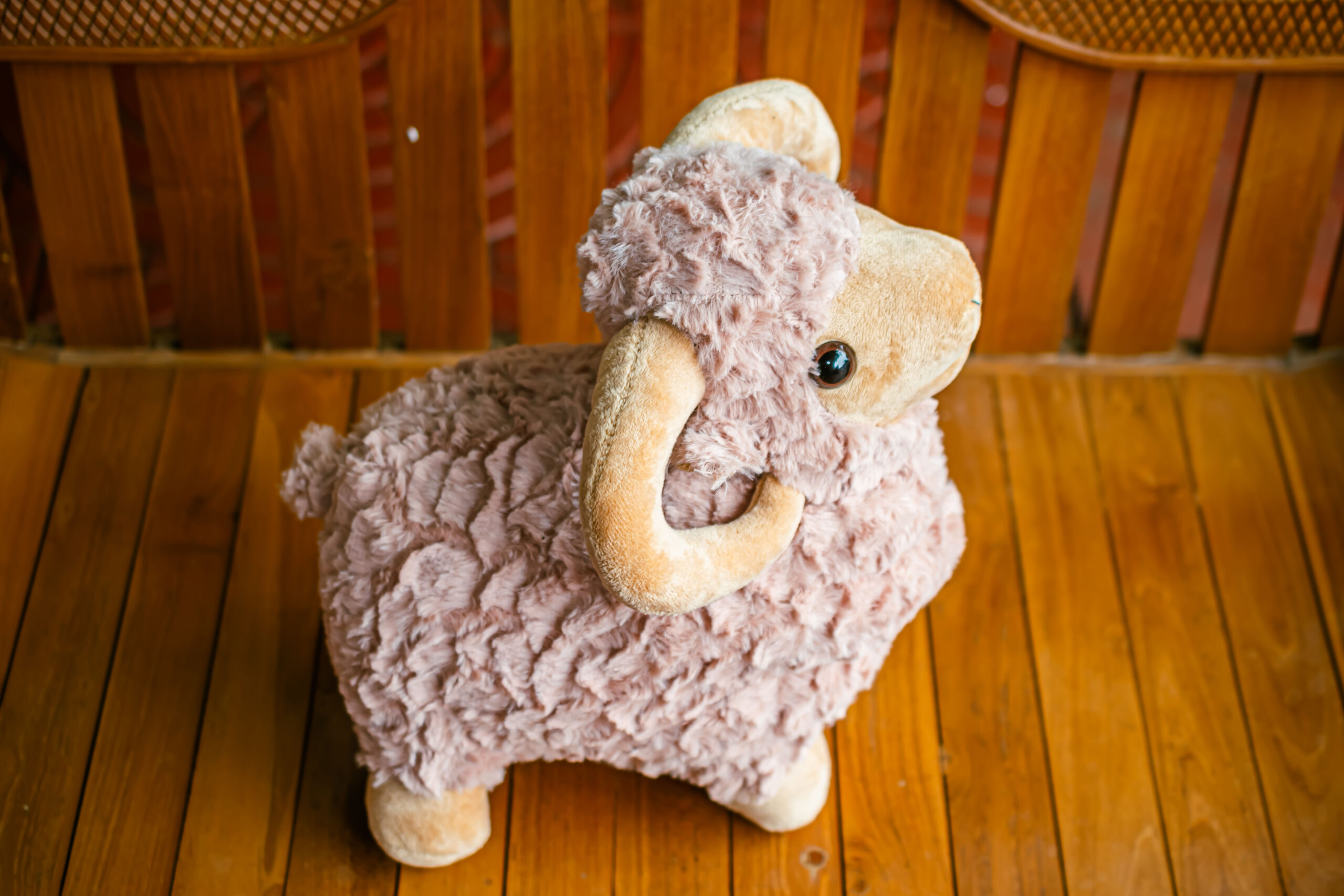 Sheep plush