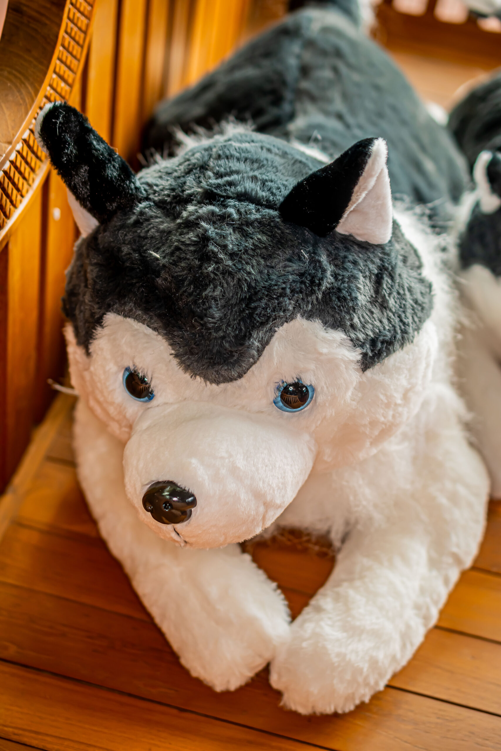 Husky Plush