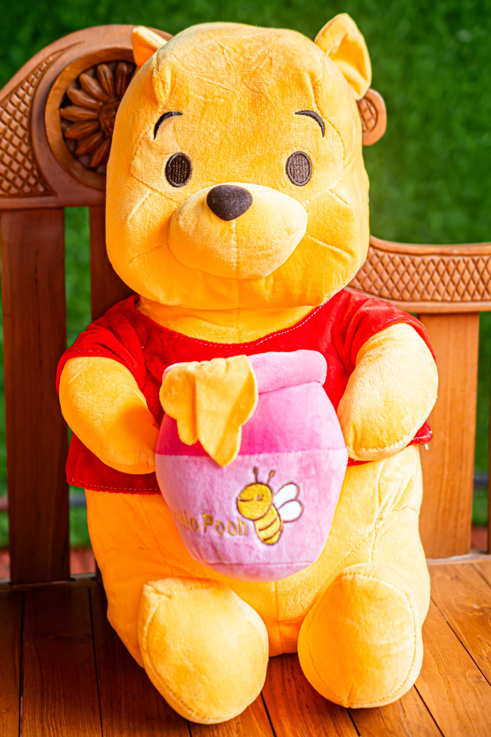 Winnie the Pooh Plush