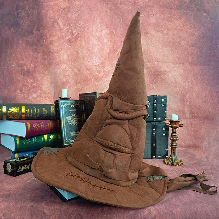 Harry Potter Sorting Hat