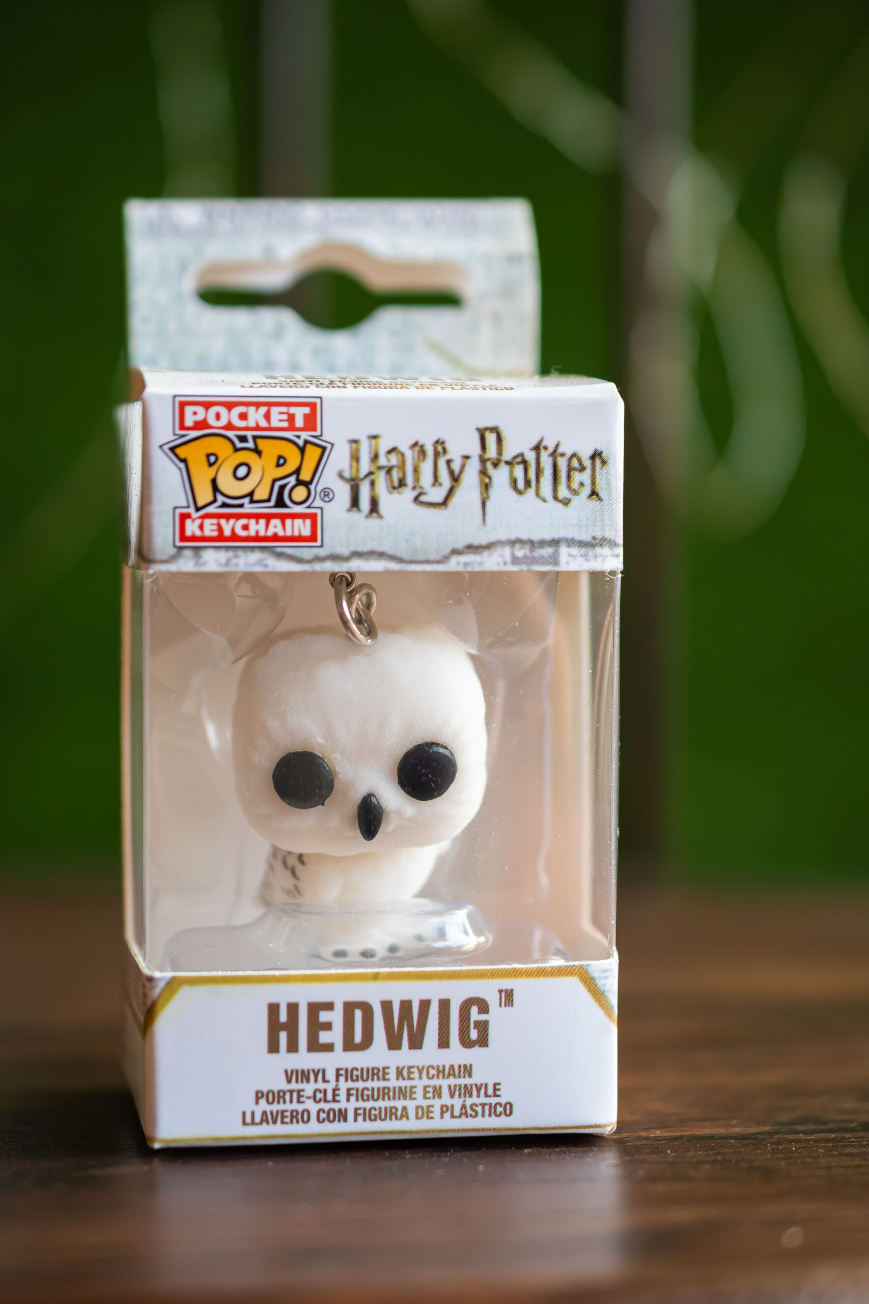Hedwig