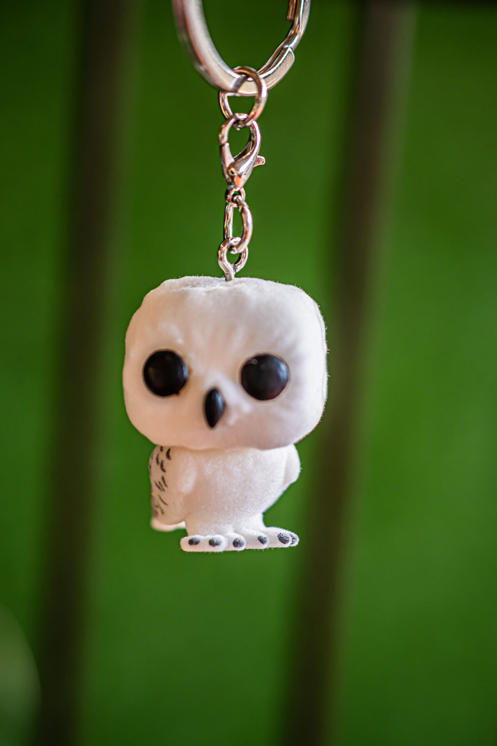 Hedwig