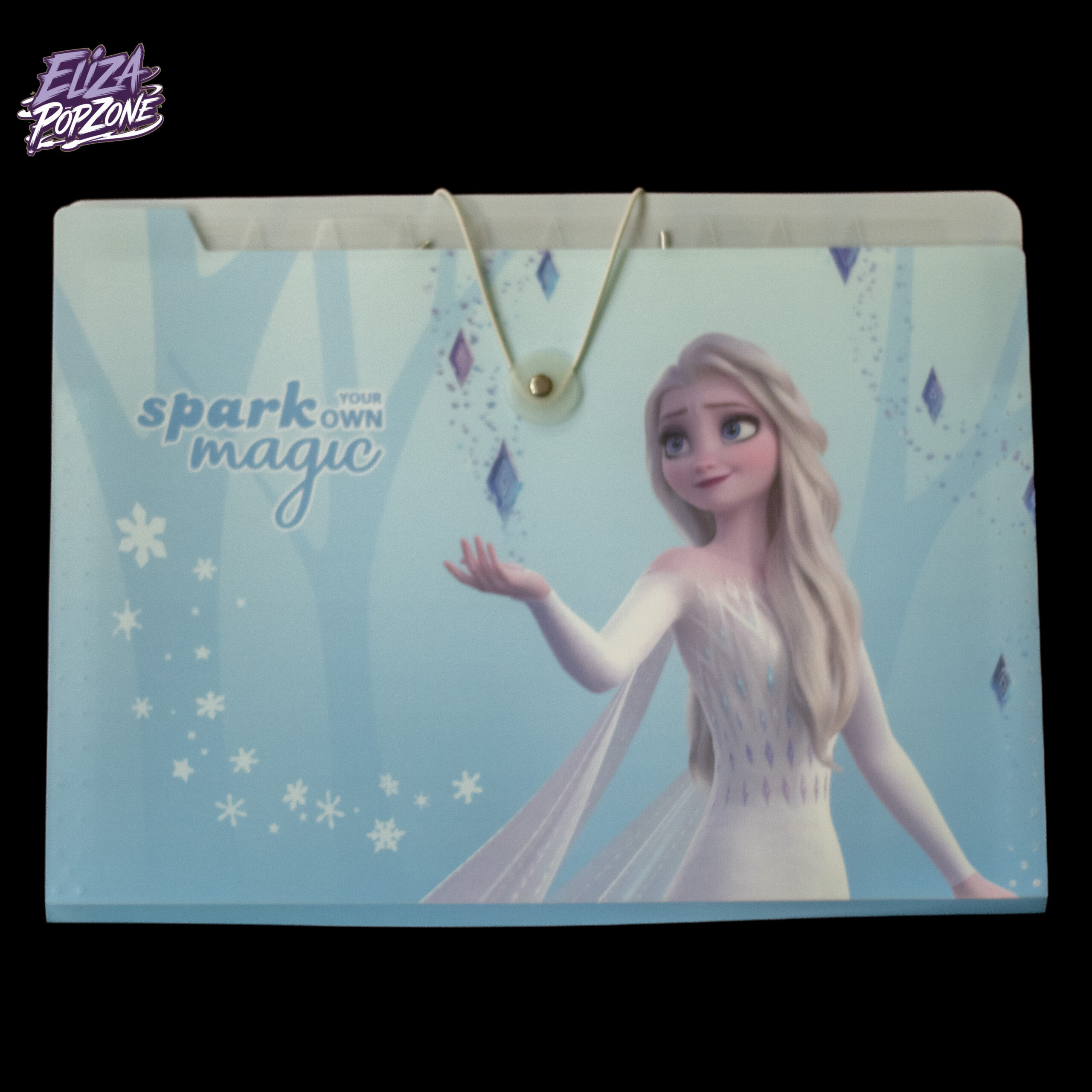 Frozen Multi-Pocket Folder