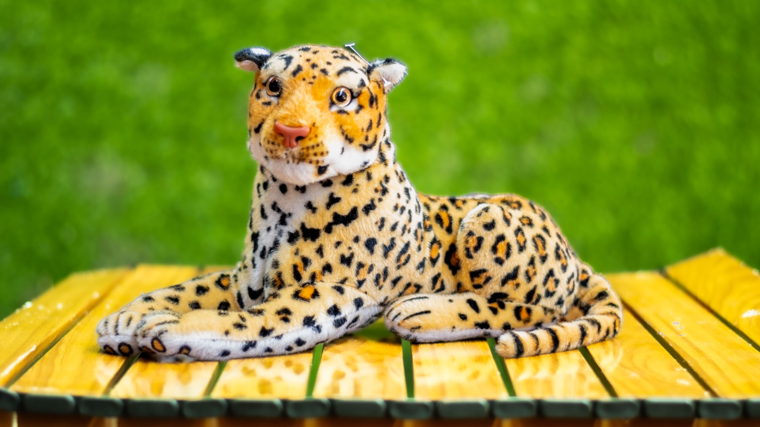 Leopard Plush