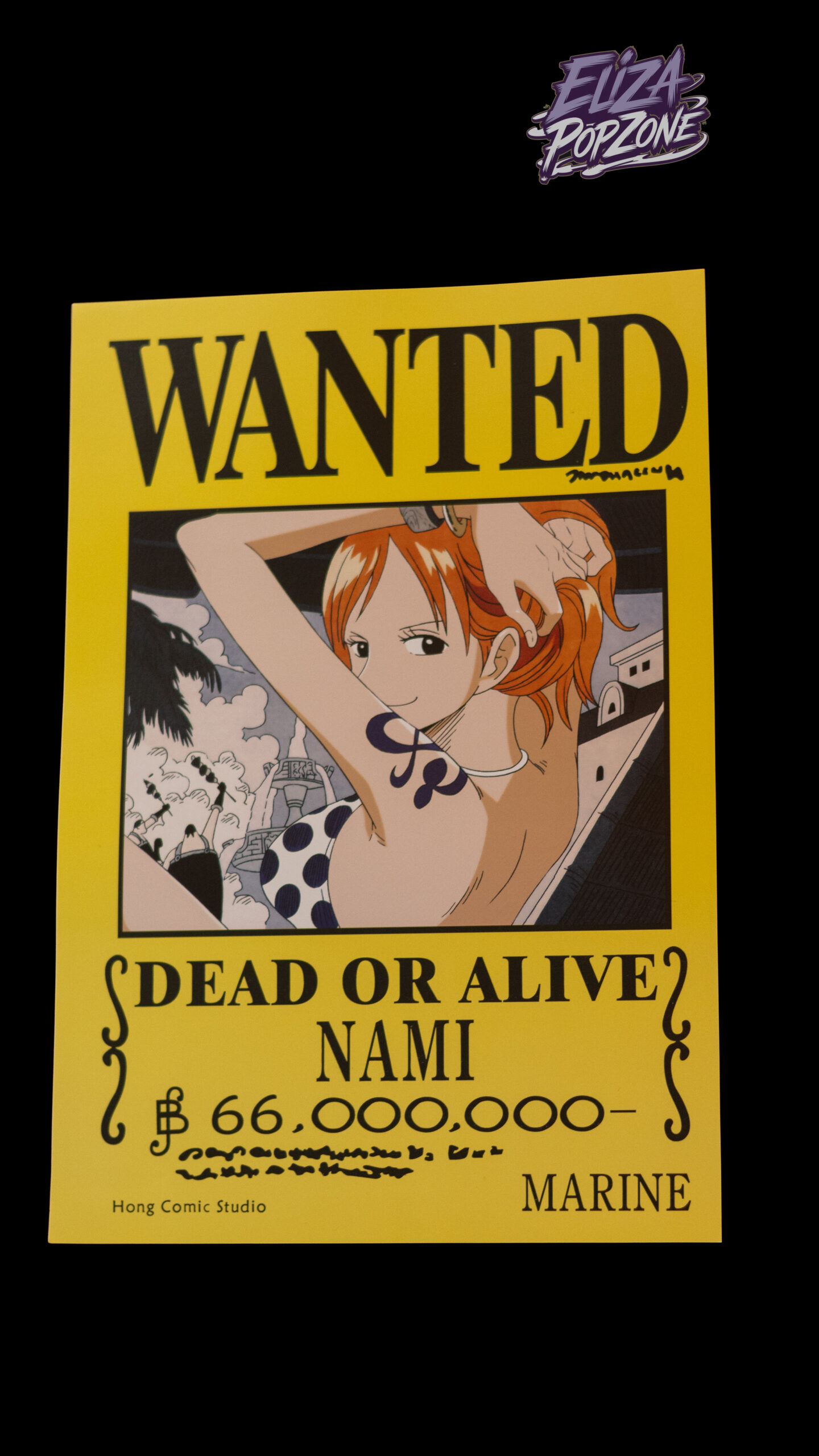 Nami Wanted Posters