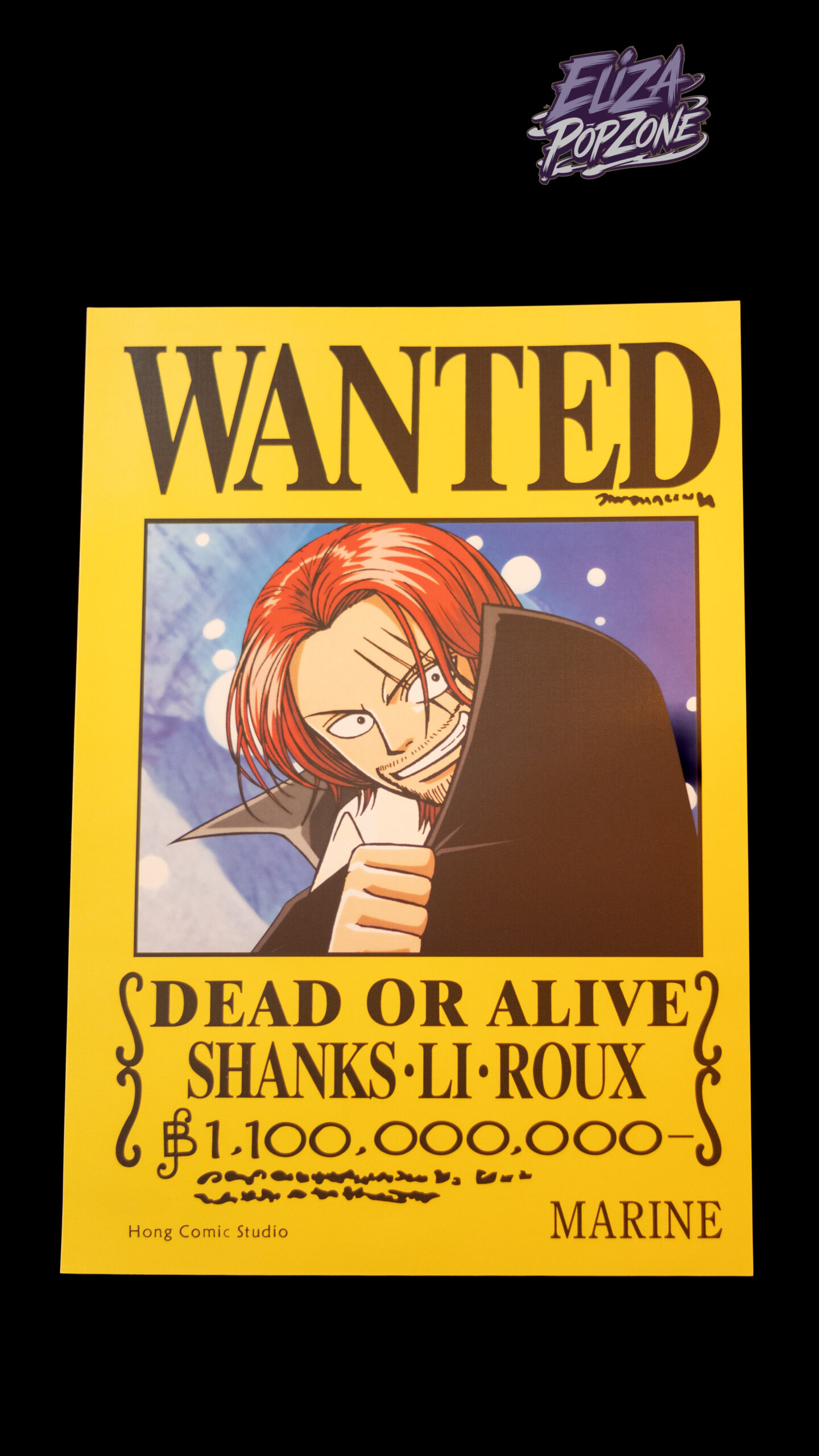 One piece Wanted Posters