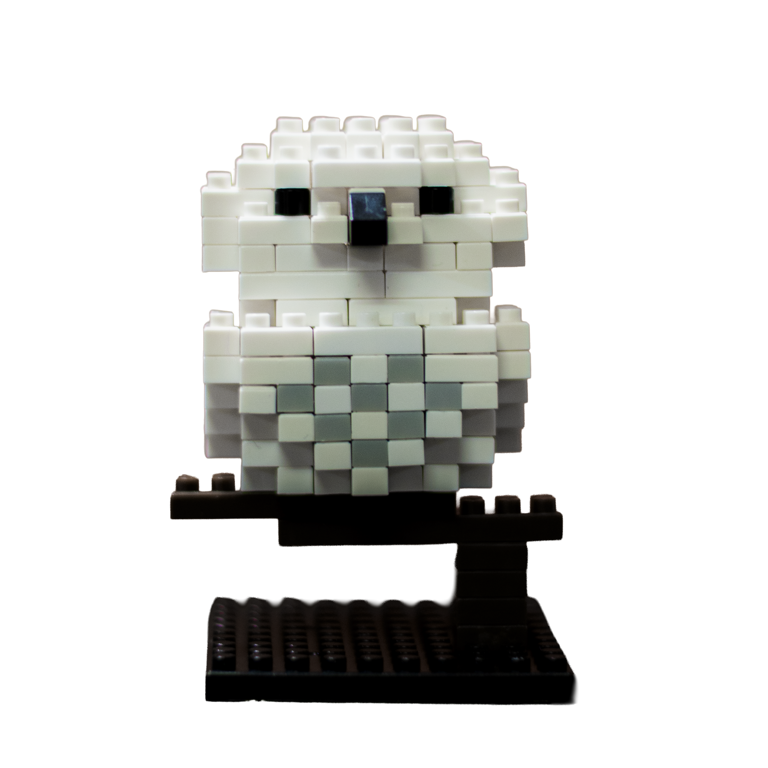 Hedwig brick model