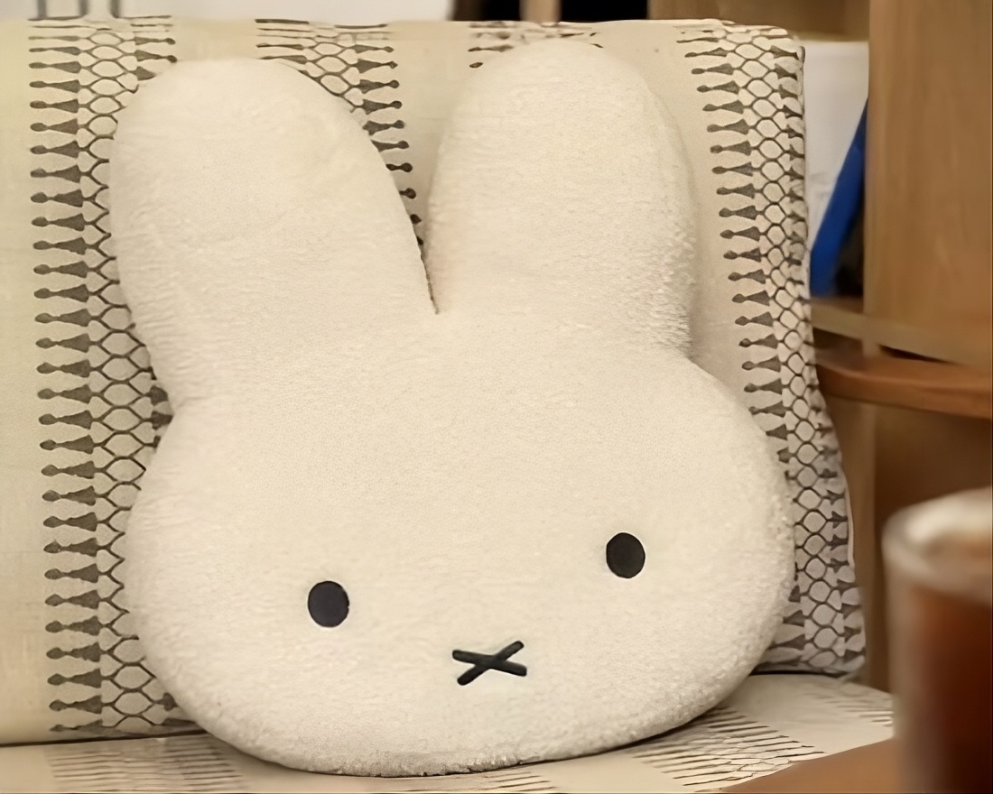 mifi cushion